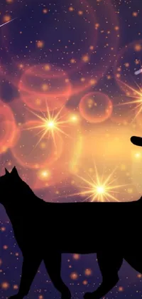 This stunning live wallpaper features a captivating silhouette of a cat walking along a catwalk with a backdrop of mesmerizing stars and beautiful bokeh effects