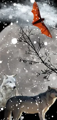Looking for a captivating phone wallpaper? Check out this stunning live wallpaper that features two majestic wolves standing in front of a full moon