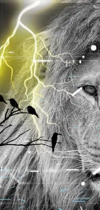 This phone live wallpaper displays a captivating, digitally rendered black and white photo of a powerful lion with a group of birds perched on its back