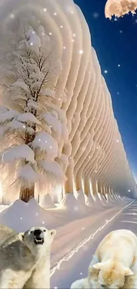Vertebrate Light Snow Live Wallpaper