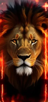 Vertebrate Lion Carnivore Live Wallpaper