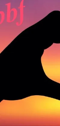 This stunning phone live wallpaper features a heart-shaped silhouette hovering above a beautiful sunset