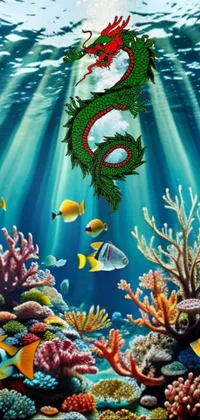 Vertebrate Natural Environment Anemone Fish Live Wallpaper