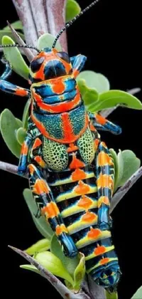 This colorful live wallpaper for your phone showcases an intricately designed insect, perched on a plant