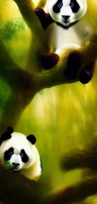 Unlock the beauty of nature on your <a href="/">phone with this live wallpaper</a>! Featuring two cute panda bears sitting in a lush tree, this <a href="/cool-wallpapers/3d-wallpapers">3D wallpaper</a> design brings an immersive dimension to your device