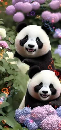 Vertebrate Panda Natural Environment Live Wallpaper