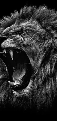 lion Live Wallpaper - free download