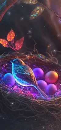 Vertebrate Purple Bird Nest Live Wallpaper