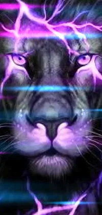 Vertebrate Purple Felidae Live Wallpaper