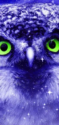 Transform your phone screen into a mystical and enchanting haven with this stunning phone live wallpaper! Featuring a magnificent owl with green eyes, set against a snowy moonlit forest, and adorned with a unique hurufiyya style, this wallpaper oozes artistry