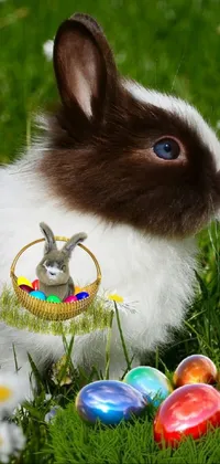 little bunny fofo Live Wallpaper