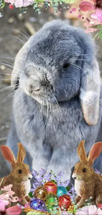 Vertebrate Rabbit Organism Live Wallpaper