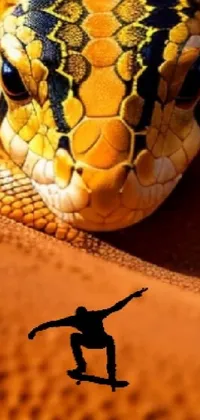 Vertebrate Reptile Snake Live Wallpaper
