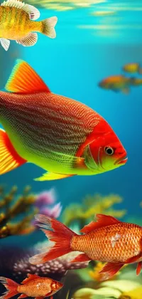 Swimming fish live wallpaper for your phone! This fine art masterpiece from Ralph Horsley features a fish floating in water with lively red-yellow colors and a realistic 3D depth-of-field effect