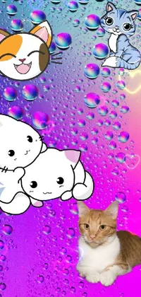 This live phone wallpaper features a cute cat sitting in the rain, surrounded by colorful bubbles