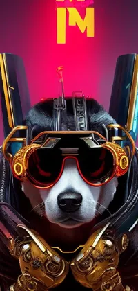 Vision Care Goggles Dog Live Wallpaper