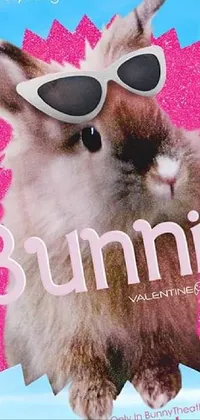 Vision Care Sunglasses Cat Live Wallpaper