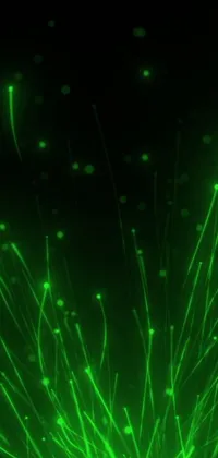 Visual Effect Lighting Terrestrial Plant Science Live Wallpaper