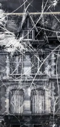 This phone live wallpaper features a captivating, black and white photograph of a building dripping in finely spun spider webs