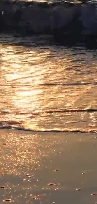 This live wallpaper showcases a thrilling scene of a surfer riding the waves on a sandy beach, against a backdrop of sparkling creek under the bright, golden sunlight