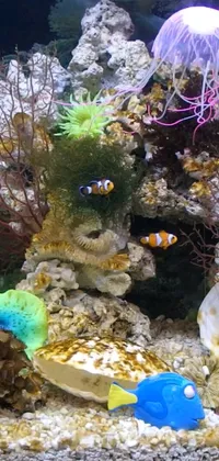 This phone live wallpaper depicts an aquarium scene with a stunning jellyfish in the foreground, surrounded by fish, plants, and corals in the background