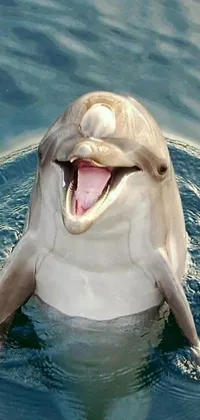This stunning live wallpaper showcases a majestic dolphin swimming gracefully in the ocean with its mouth open