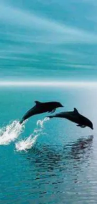 This phone live wallpaper features two dolphins in the ocean