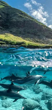 This stunning live wallpaper for your phone is a mesmerizing depiction of dolphins swimming in the ocean against a backdrop of majestic mountains and a clear blue sky