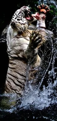 This stunning phone live wallpaper features a majestic white tiger playing with a ball while frolicking in the water