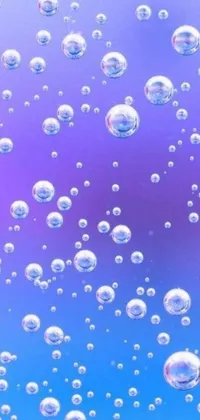 Introduce a mesmerizing phone live wallpaper to your digital devices - featuring clusters of delicate bubbles that float ethereally on the screen in blues and purples