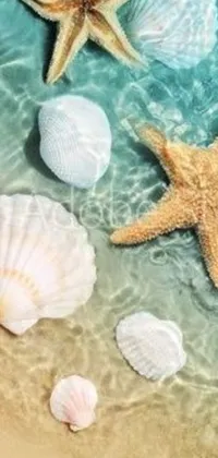 Transform your phone screen into a breathtaking beach scene with this live wallpaper
