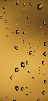 Introducing a stunning live wallpaper for your phone, featuring a captivating close-up of water droplets on a windowpane