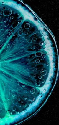 This phone live wallpaper showcases a stunning close-up of a fruit slice on a table, captured using a microscope