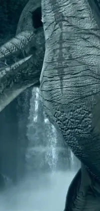 This phone live wallpaper features a magnificent elephant situated near a breathtaking waterfall