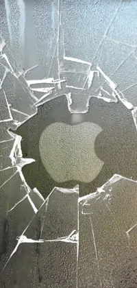 Looking for a captivating phone wallpaper? Check out this stunning design featuring a close-up of the iconic apple logo on a frosty window