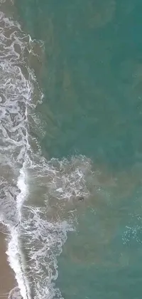 This phone live wallpaper showcases a stunning aerial shot of a surfboard rider on a sandy beach, complete with cresting waves and seashores