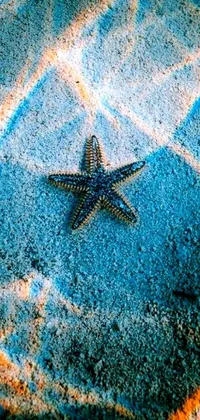 This live wallpaper features a gorgeous macro image of a starfish resting on a sandy beach, with bright blue hues and sharp, high contrast details