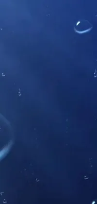 This phone live wallpaper features a group of bubbles floating gently on a blue surface