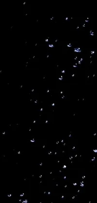 This captivating phone live wallpaper features water bubbles against a black background, with fireflies in the air, stars in the sky, and birds flying away from a sunset silhouette of trees in the distance