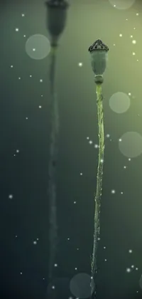 This live wallpaper for phones features a stunning macro photograph of a flower with a street light in the background, surrounded by hyphae and dark green water