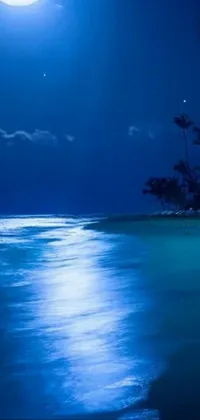This phone wallpaper showcases a breathtaking beachy scene at night