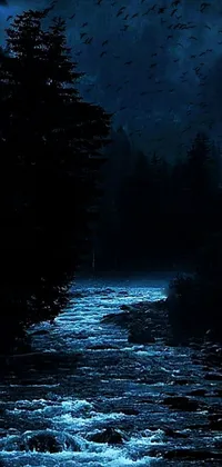 Water Atmosphere Branch Live Wallpaper