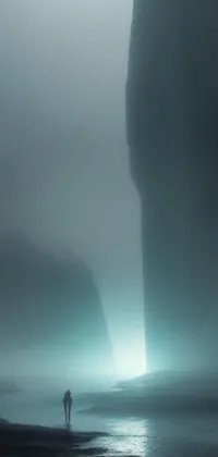 This live wallpaper features a stunning image of a beach in front of a cliff, enveloped in an icy cold and pale atmosphere, inspired by fantasy art