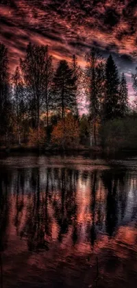 This phone live wallpaper features a picturesque body of water surrounded by breathtaking trees