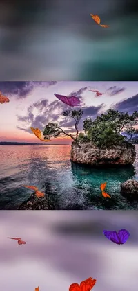 This stunning phone live wallpaper features a picturesque scene of butterflies flying over a tranquil body of water with a mesmerizing sunset in the background