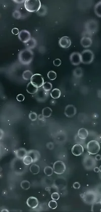Experience a whimsical and captivating live wallpaper for your phone - a delightful collection of floating bubbles accompanied by a stunning display of digital art