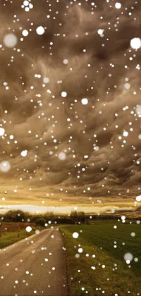 This live phone wallpaper showcases a scenic view of a road running through a vast field under a cloudy sky during a rainstorm