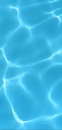 This stunning live phone wallpaper features a white frisbee floating on a blue pool