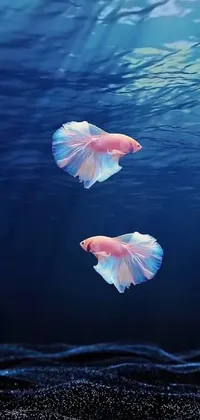This phone live wallpaper depicts a serene and peaceful aquatic scene of two fish leisurely swimming on a calm body of water