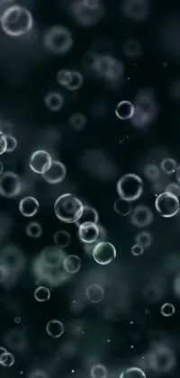 This phone live wallpaper features a stunning display of bubbles that float gracefully in the air